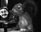 craptek-drinks-a-beer-anyer-marx-smiles.gif