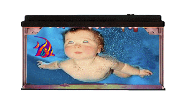 Aqua-G3.gif
