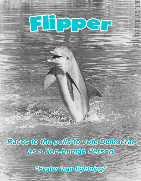 Flipper.jpg