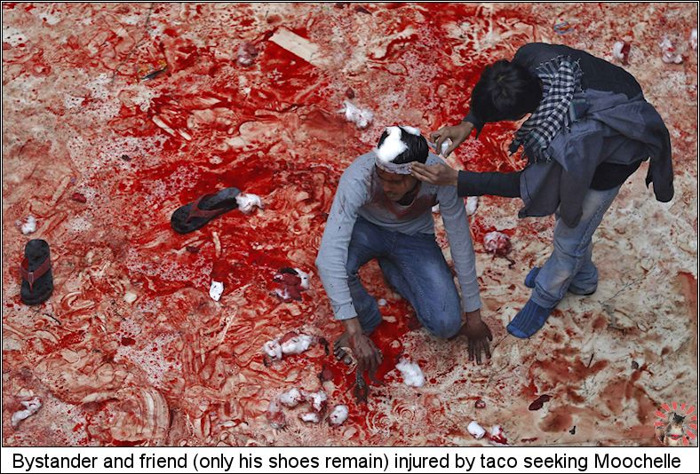 Taco-Dispute.jpg