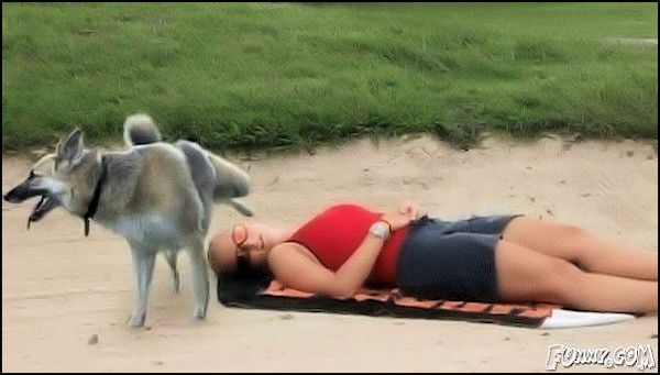 Wake-Up-Call.jpg
