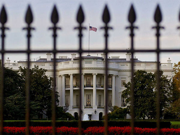 WH_Fence.jpg