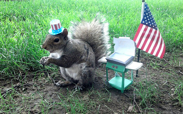 Squirrel_Sneezy.jpg