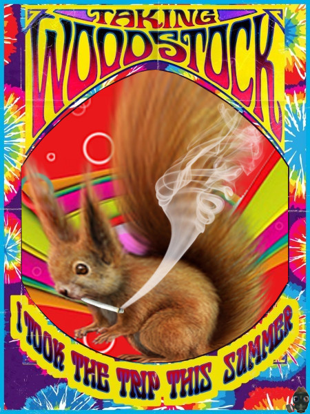 craptek-was-at-woodstock-oh-yeah.jpg