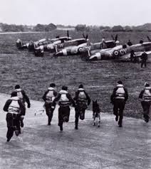 spitfires.jpg
