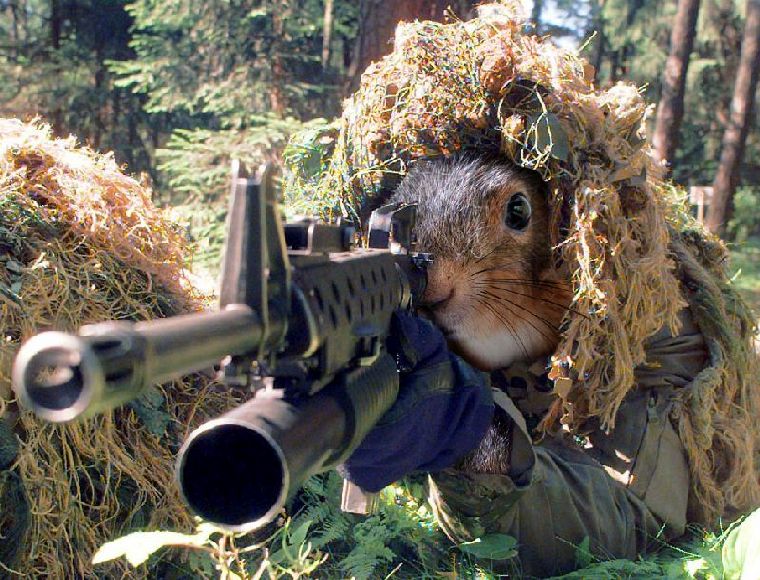billybob_snipe.jpg