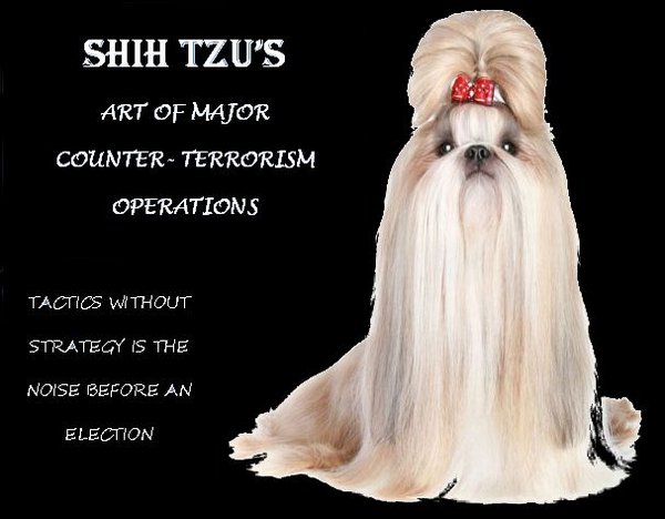 31798-SHIH TZU (1).jpg