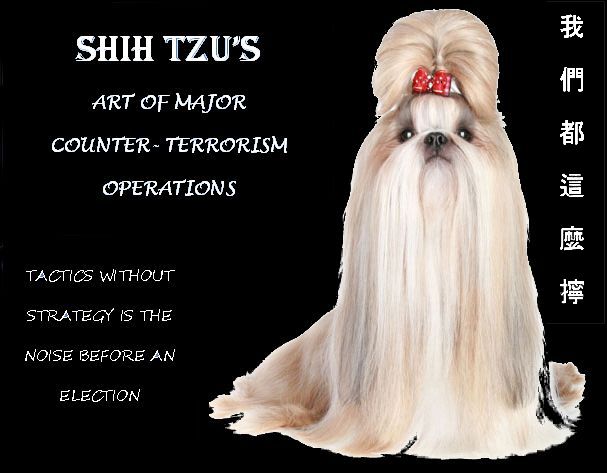 SHIH TZU.jpg