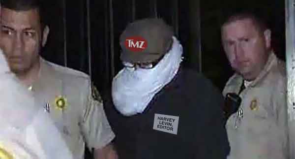 TMZ_Arrest_Levin_editor.jpg