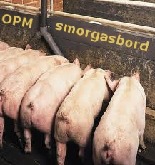 pig trough.jpg