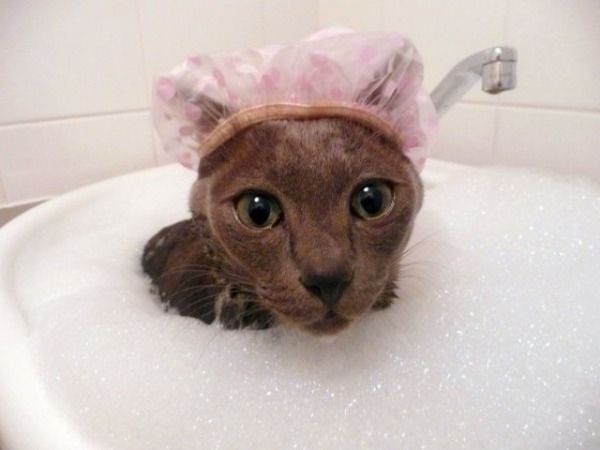 showercap.jpg
