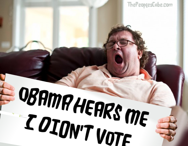 did not vote2.jpg