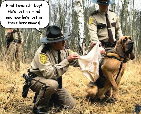 find-tovarichi.jpg