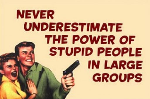 what-happens-when-stupid-people-vote-dumbcrats-liberals-political-poster-1292969857.jpg