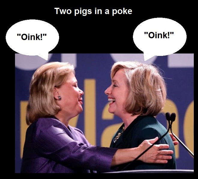 Mary hillary pigs.jpg