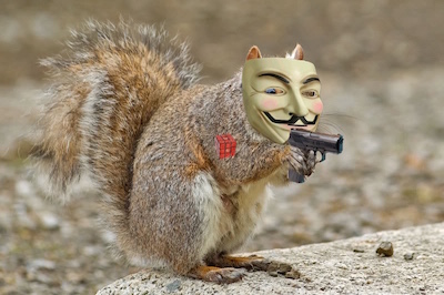 squirrel copy2.jpg