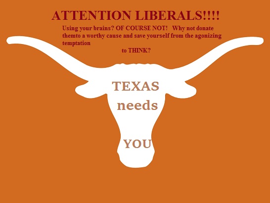 Texas Longhorns.jpg