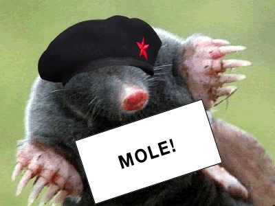 dmdikn65miyq0u3iyx7s.jpg