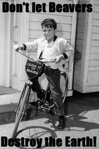 Beaver on a Bike.jpg