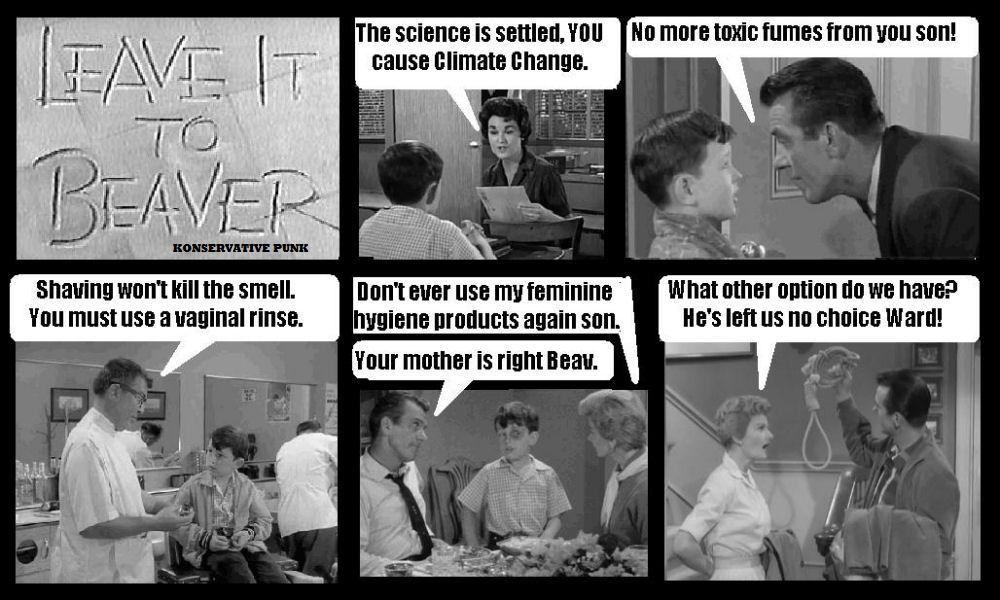 Leave it to Beaver.jpg
