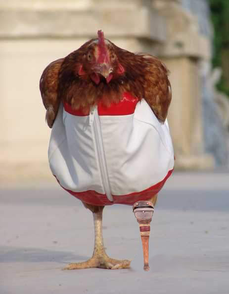 Peg leg chicken copy.jpg