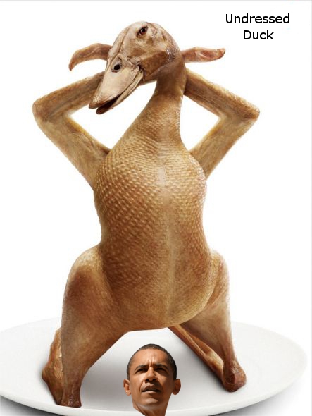 undressed duck.jpg