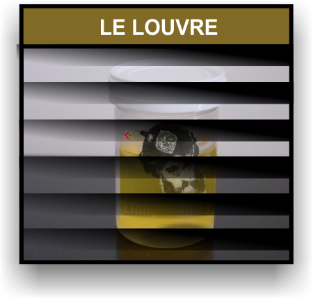 le-louvre.png