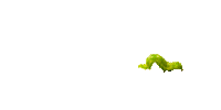 caterpillar.gif