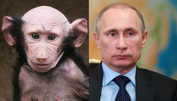 putin pootie poo.jpg