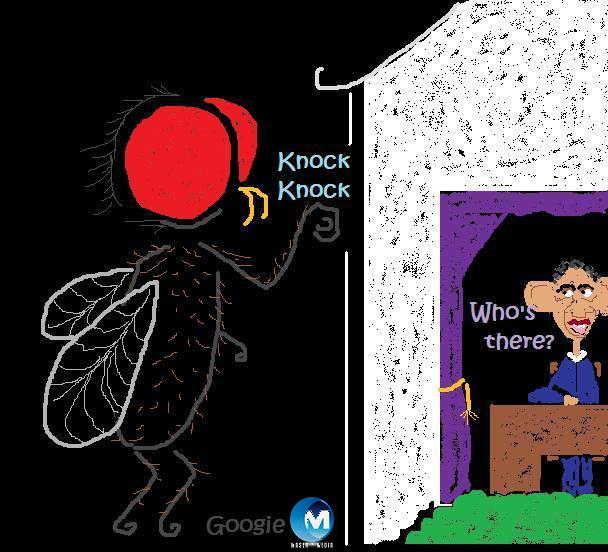 o Fly at the door.jpg