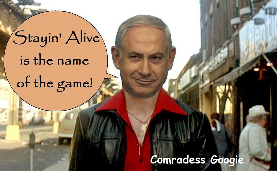 Bibi 2 78.jpg