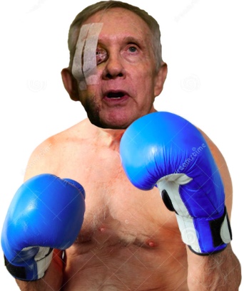 reid.jpg