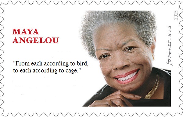 from bird to cage.jpg