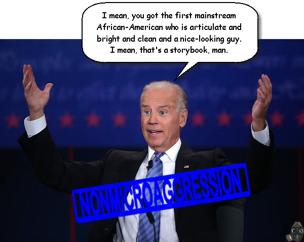 joe-biden-nonmicroaggression-1.jpg