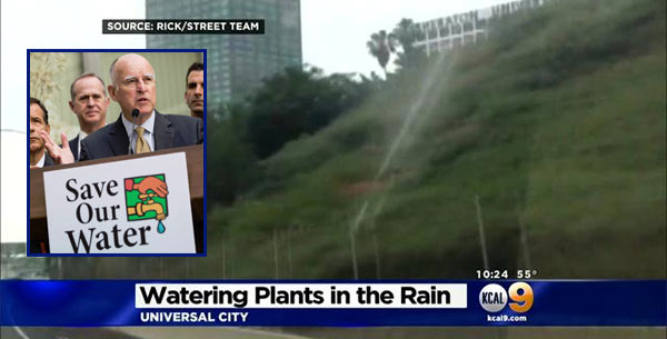 Brown_Cal_Water_Rain.jpg