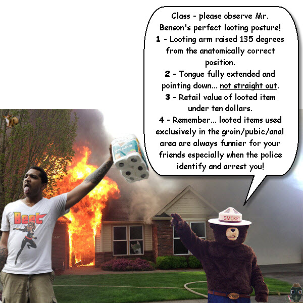 smokey-bear-looting-class.jpg