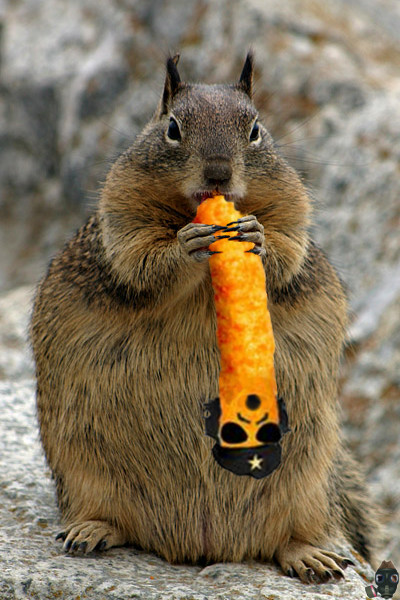 craptek-eats-chedoh.jpg