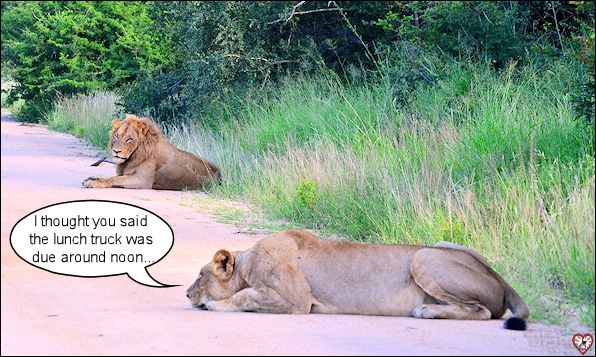 Lunch Break.jpg