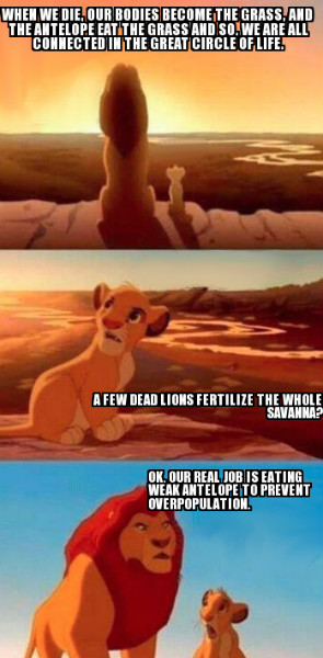 Circle-of-life-2.jpg