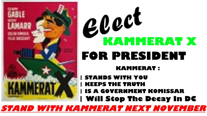 kammeratXElectionSign.jpg