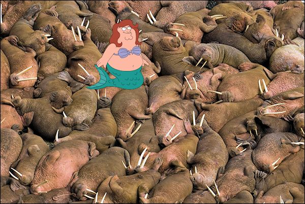 walrus-and mermaid.jpg