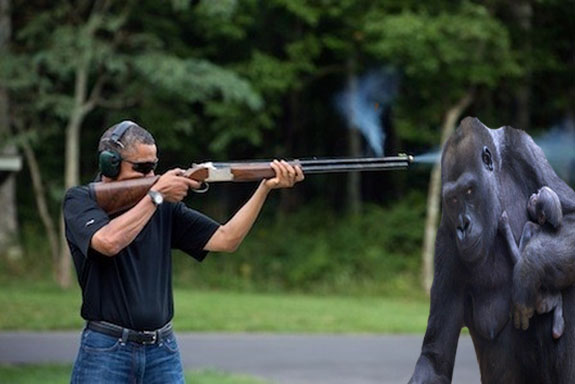 obamashooting gorrila .jpg
