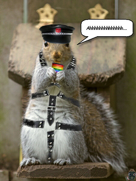 crapteks-leather-nut-sack-harness.jpg