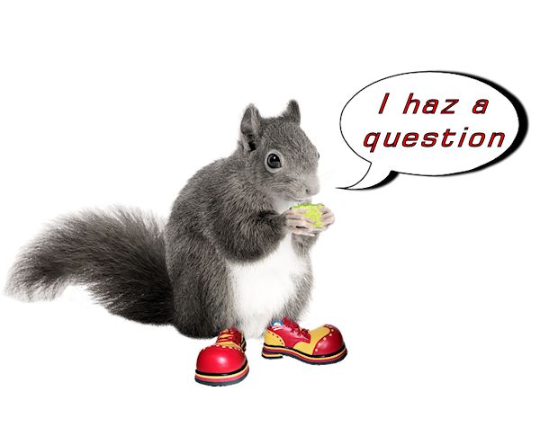 Craptek Thought of the Day -2.jpg