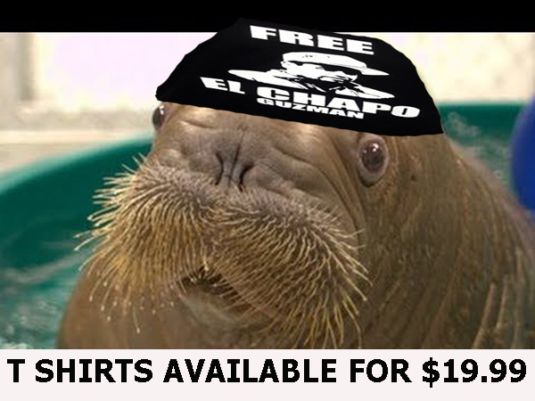 WALRUS EL CHAPO.jpg