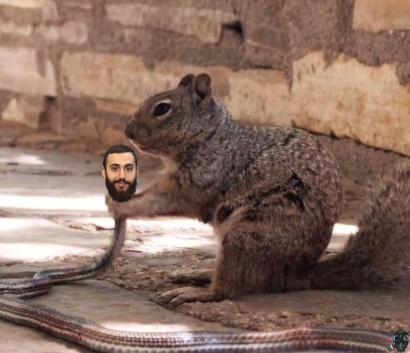 craptek-kills-a-muhammad-youssef-abdulazeez-snake.jpg
