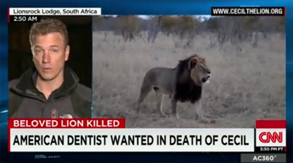 Cecil_Lion.jpg