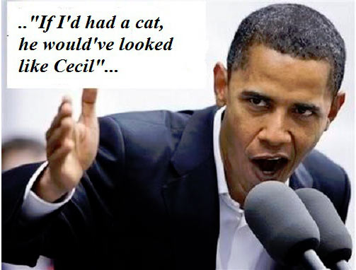 Obama_IfIhadacat.jpg