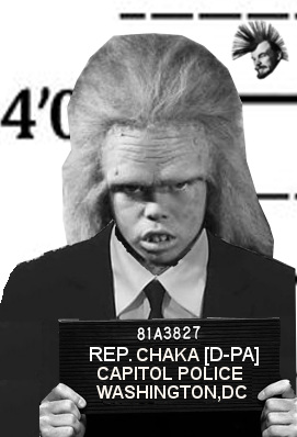 CHAKA mugshot.JPG