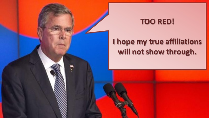 thatbush.jpg